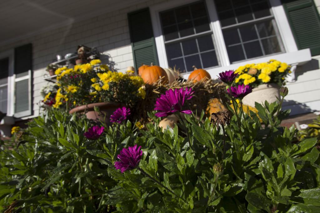 Golden Gables Inn North Conway Exterior photo